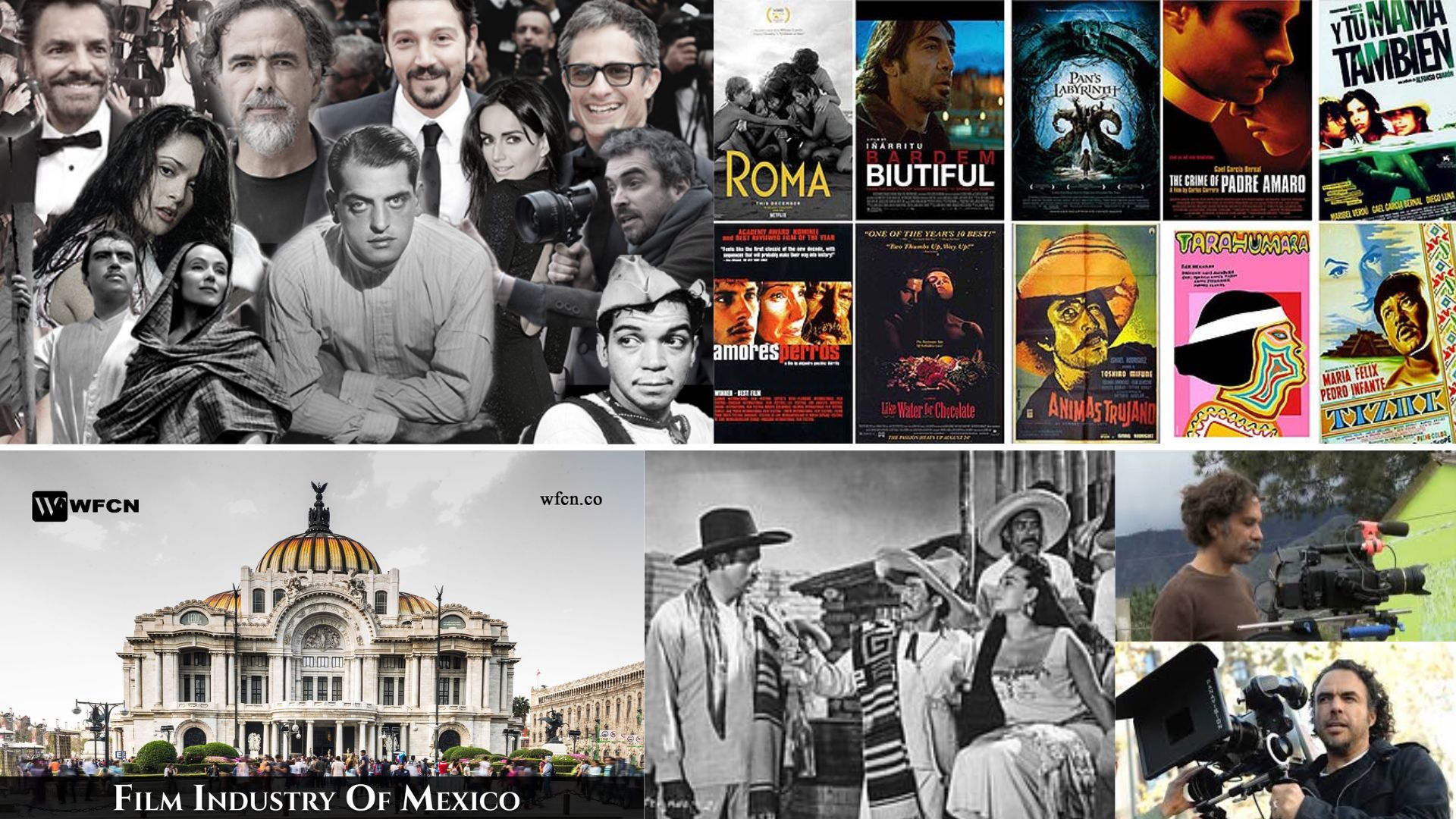 India Mexico Business and Cultural Council - Culture of Mexico in Mexico Film Industry